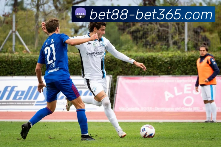 bet365全站App bet365全站App